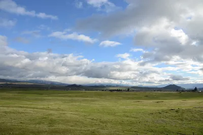 DSC_1040 (Large).JPG